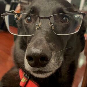 Meet your Posher, Thao